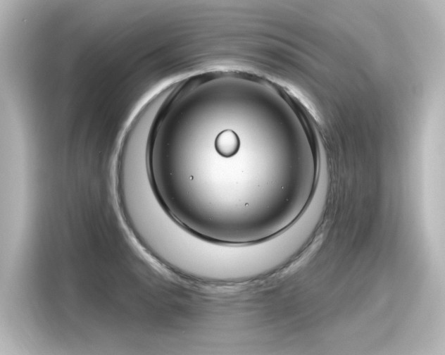 X0000116161134200911301556