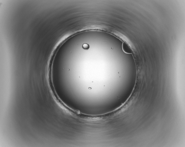 X0000116161135200911301556