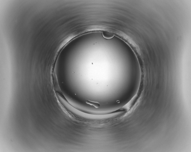 X0000116161137200911301556