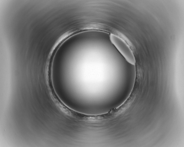 X0000116161138200911301556