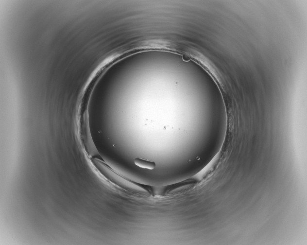 X0000116161139200911301556