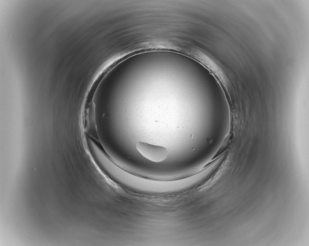 X0000116161141200911301556