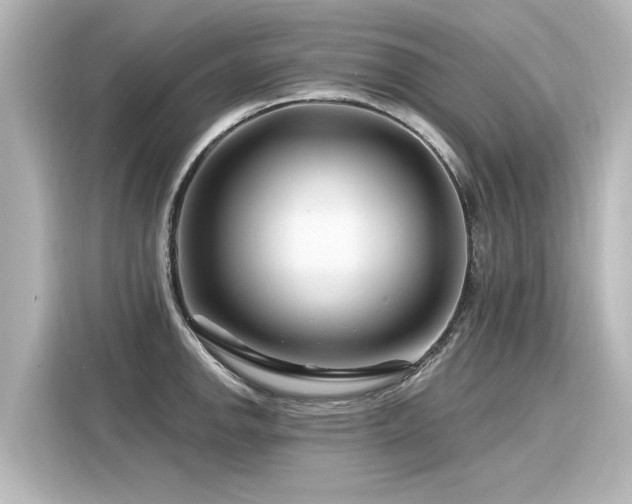 X0000116161142200911301556