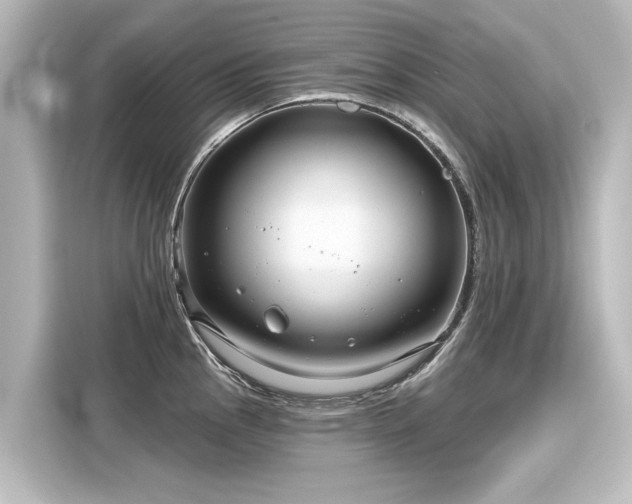 X0000116161145200911301556