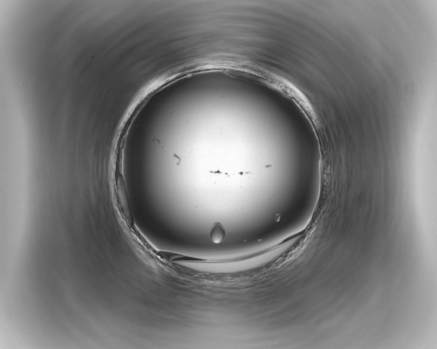 X0000116161146200911301556