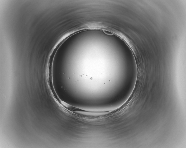 X0000116161147200911301556