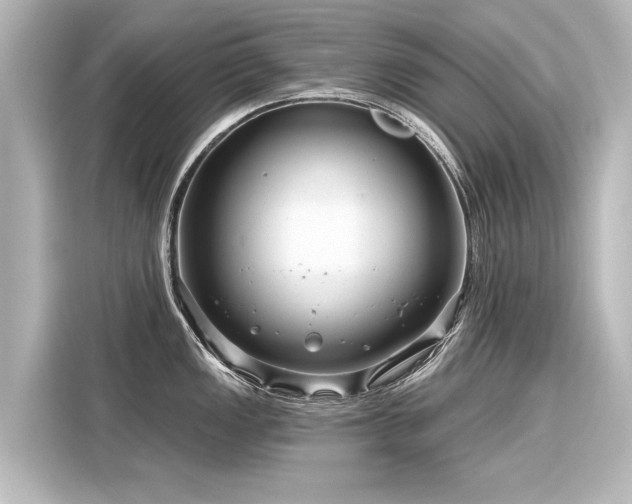 X0000116161149200911301556