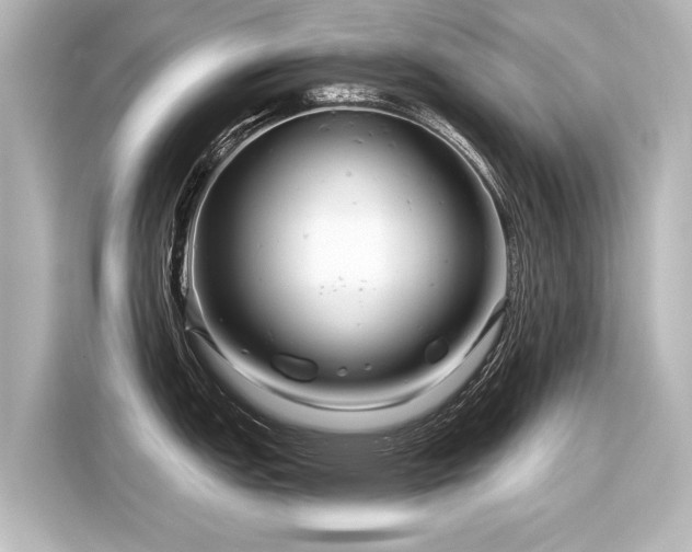 X0000116161151200911301556