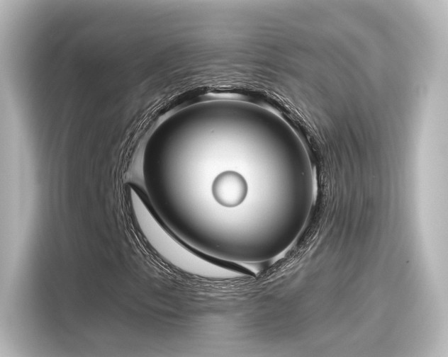 X0000116161153200911301555