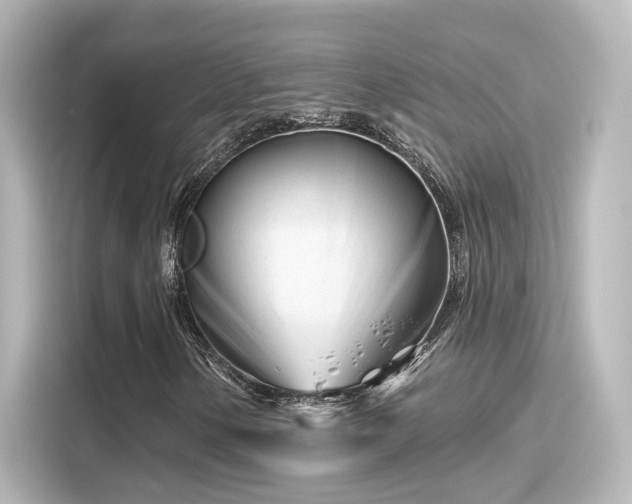 X0000116161154200911301555