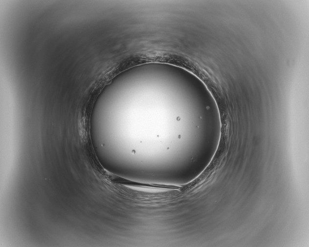 X0000116161156200911301555