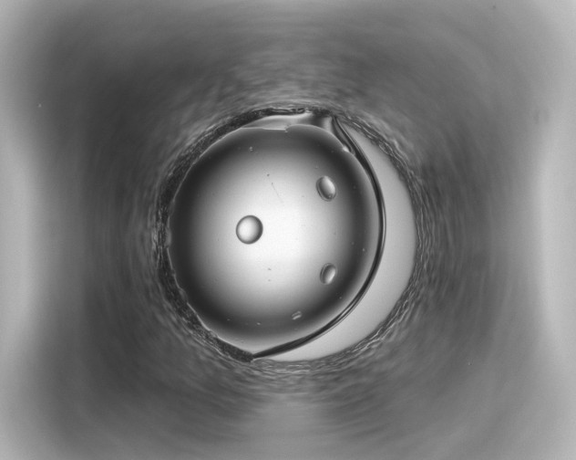 X0000116161157200911301555