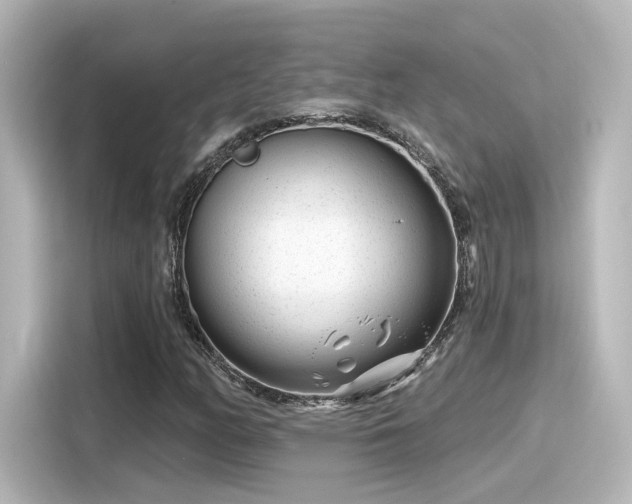 X0000116161158200911301555