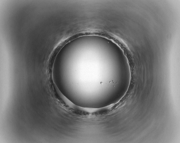 X0000116161160200911301555