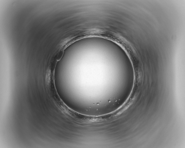 X0000116161161200911301555