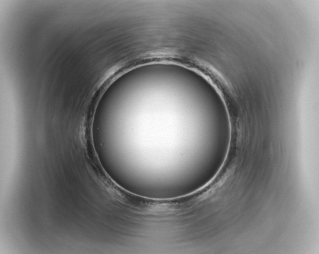 X0000116161162200911301555