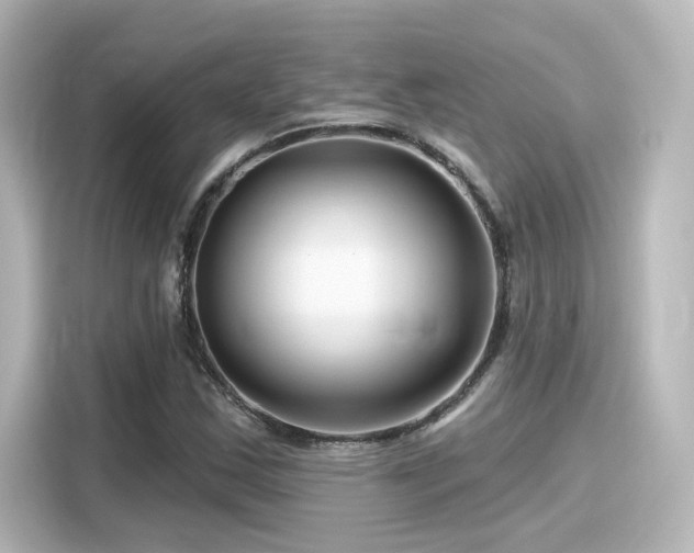 X0000116161163200911301555