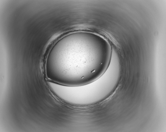 X0000116161164200911301555