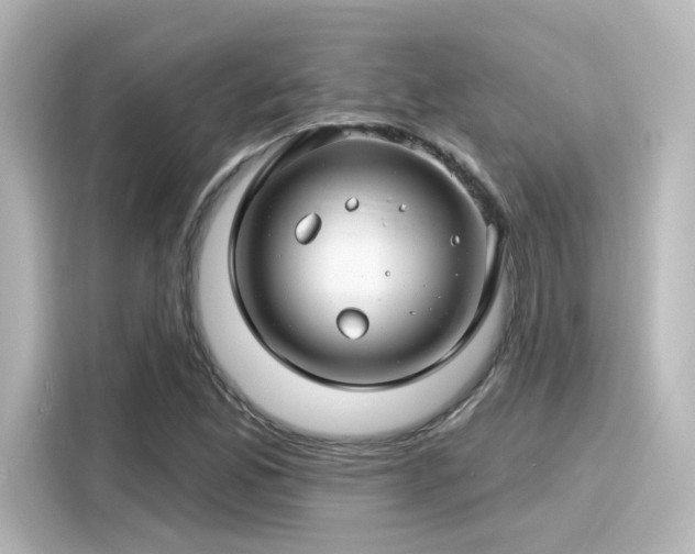 X0000116161165200911301555