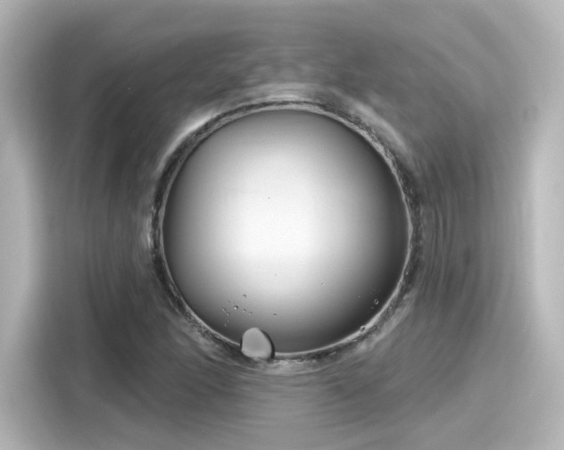 X0000116161166200911301555