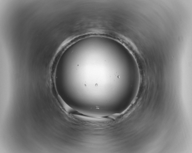 X0000116161168200911301555