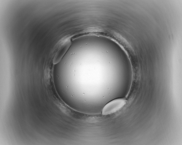 X0000116161169200911301555