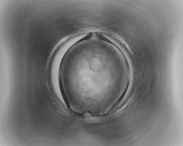 X0000116161171200911301555