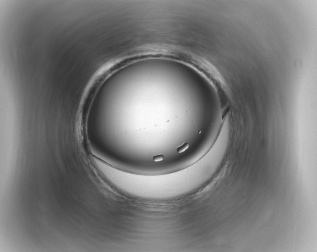 X0000116161172200911301555