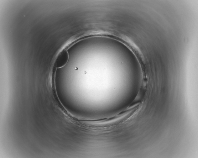 X0000116161173200911301555