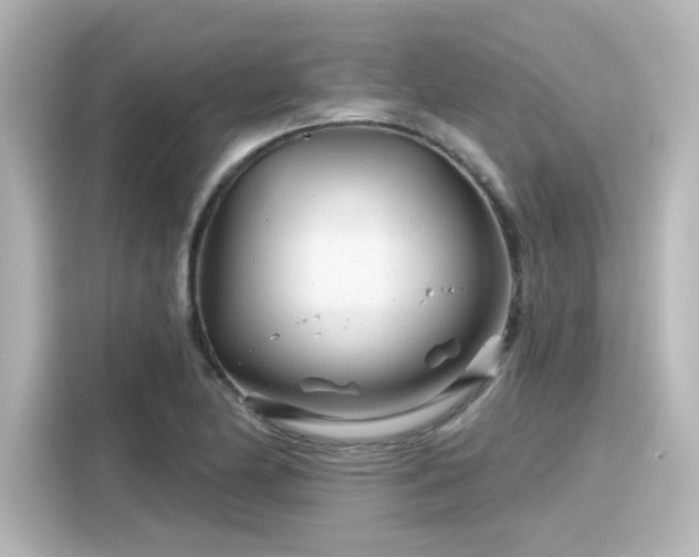 X0000116161174200911301555