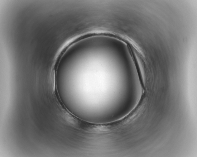 X0000116161175200911301555