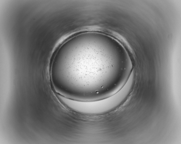 X0000116161176200911301555