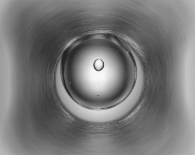 X0000116161177200911301555