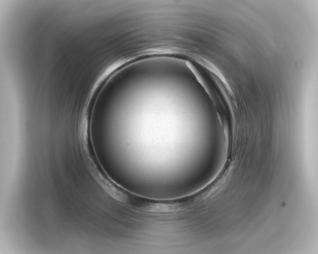 X0000116161179200911301555