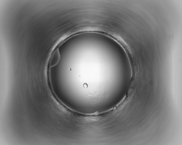 X0000116161181200911301555