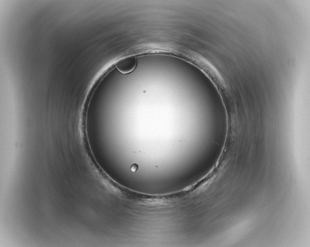 X0000116161182200911301555