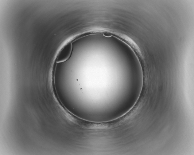 X0000116161183200911301555