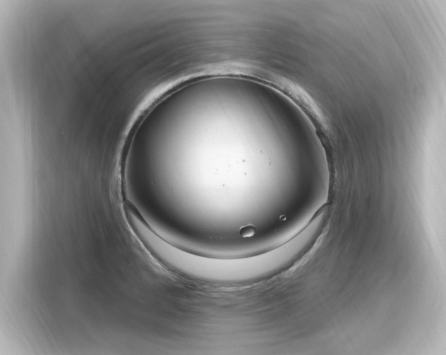 X0000116161184200911301555