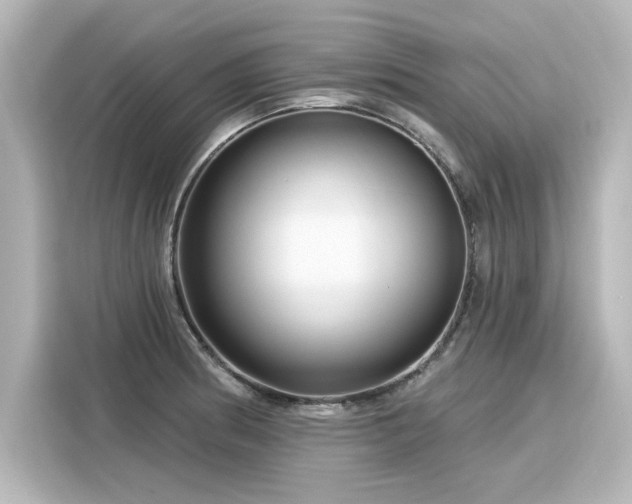 X0000116161186200911301555