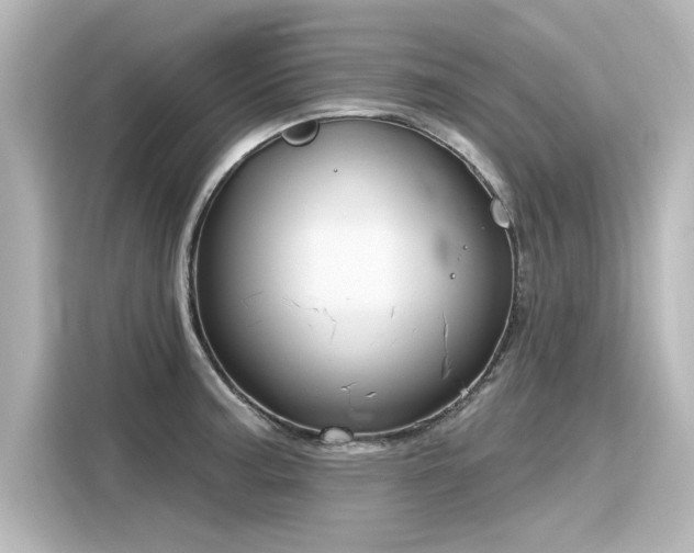 X0000116161187200911301555