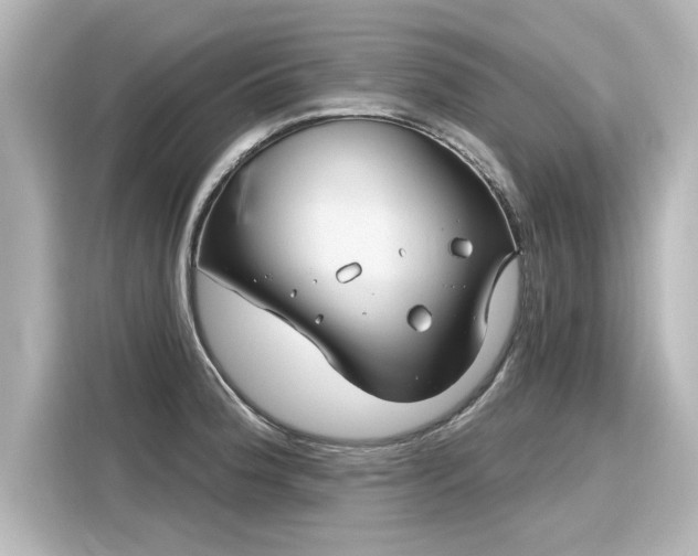 X0000116161188200911301555