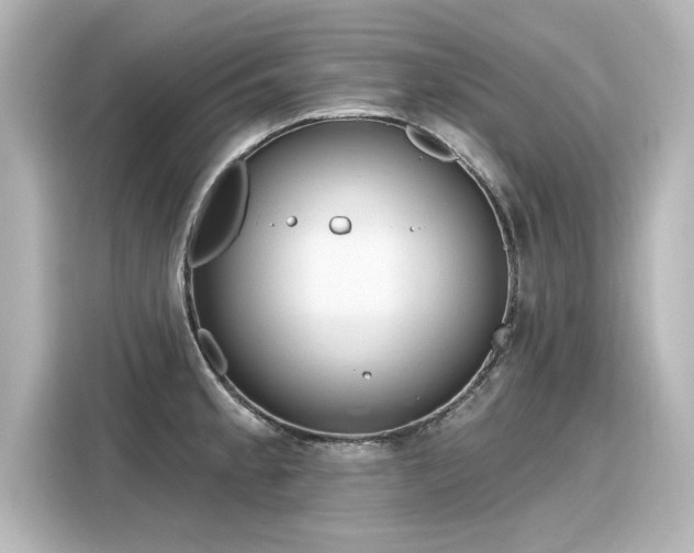 X0000116161189200911301555