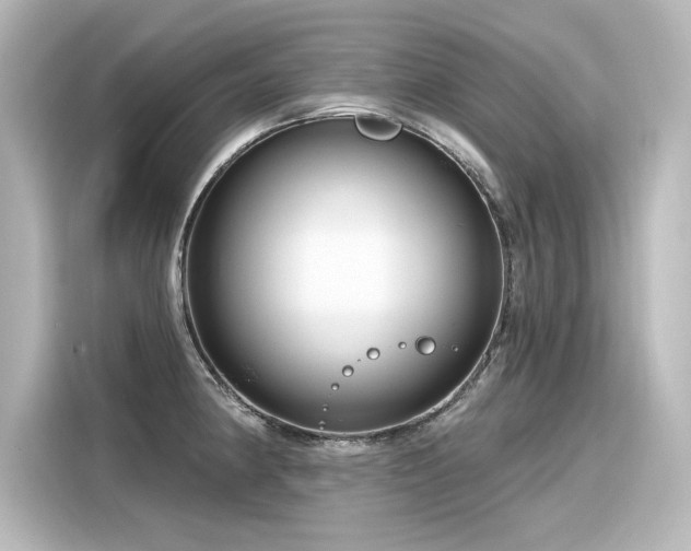 X0000116161190200911301555