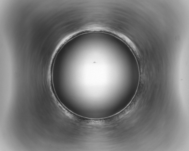 X0000116161191200911301555