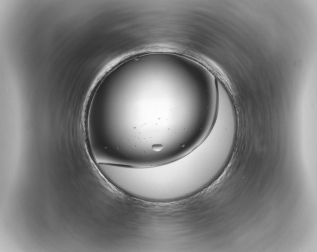 X0000116161192200911301555