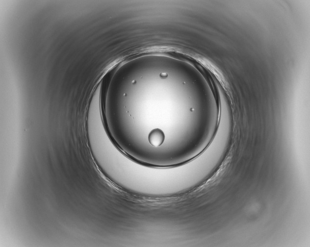 X0000116161193200911301555