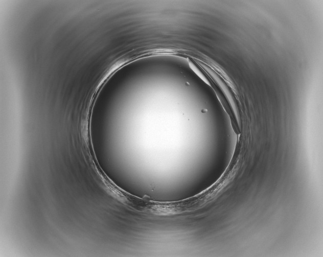 X0000116161194200911301555