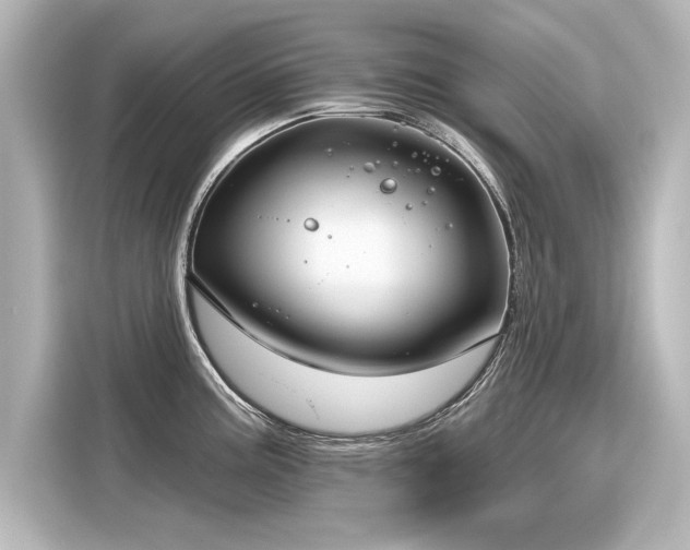 X0000116161195200911301555