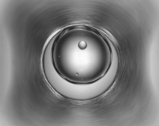 X0000116161196200911301555