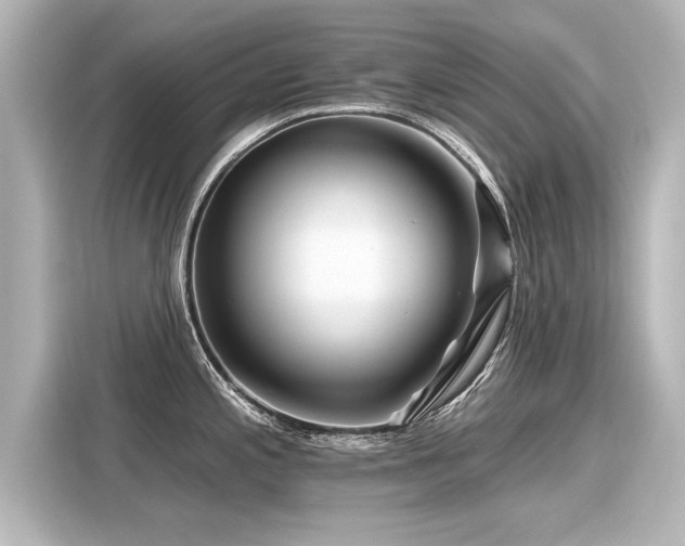 X0000116161197200911301555